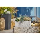 Alternate image 2 for Lechuza USA 20" Gray All In One Wicker Finish Planter
