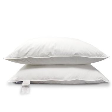 KASENTEX 100% White Down and Feather Bed Pillows Pair (Set) 20x26. View a larger version of this product image.