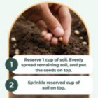 Alternate image 2 for Window Garden Microgreens Grow Kit - Includes Microgreen Seeds, Fiber Soil, Acrylic