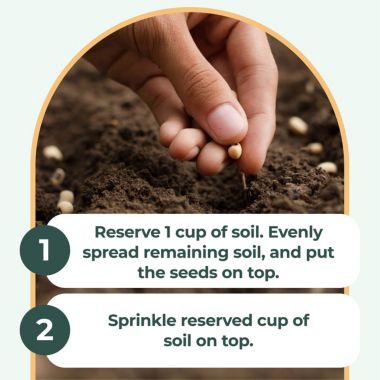 Window Garden Microgreens Grow Kit - Includes Microgreen Seeds, Fiber Soil, Acrylic. View a larger version of this product image.