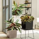 Alternate image 1 for Lechuza USA 16" White Cube Planter with Water Reservoir