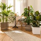 Alternate image 2 for Lechuza USA 16" White Cube Planter with Water Reservoir