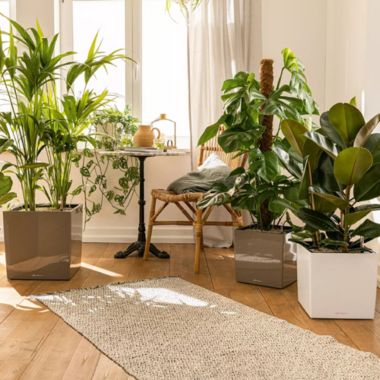 Lechuza USA 16" White Cube Planter with Water Reservoir. View a larger version of this product image.