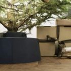 Alternate image 3 for Tree Nest Medium Robust Christmas Tree Stand for Real Trees, Green