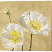 Metaverse Art Poppies on Gold I by Luca Villa 12-Inch x 12-Inch Canvas Wall Art