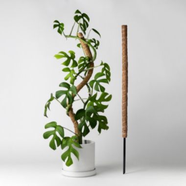 Kanso Designs Bendable & Stackable Coco Coir Pole for Plant Support - 32" Pole (No Stake). View a larger version of this product image.