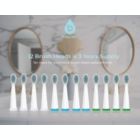 Alternate image 2 for Pursonic Whitening USB Rechargeable Sonic Toothbrush-12 Brush Heads!- 38,000 Brush Strokes Per Minute-3 Brushing Modes with 2 Minute Auto Timer (Green)