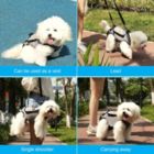 Alternate image 1 for Ownpets Dog Lift Harness (L)