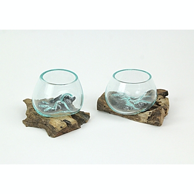 Set of 2 Blown Molten Glass On Teak Driftwood Decorative Bowls Vases Terrariums 