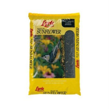 Lyric Bird Products Black Oil Sunflower Seed 5 Lbs.. View a larger version of this product image.