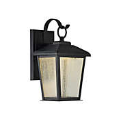 Chloe Lighting 12 Inch Outdoor Wall Sconce with Clear Seeded Glass and LED Bulb, Black