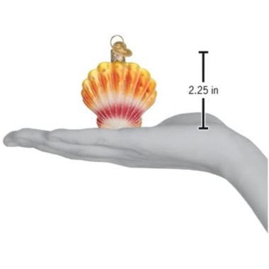 Old World Christmas Sunrise Shell Glass Blown Ornament for Christmas Tree. View a larger version of this product image.