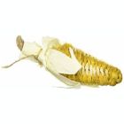 Alternate image 0 for Ware Mnfg (#13043) Crisp-E-Corn Small Animal Corn Husk Chew Toy, Yellow, 10"