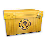 Crazy Safety Enforcer Box  Yellow Utility Box   Cool Design.