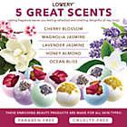 Alternate image 1 for Lovery Bath Bombs Gift Set - 10 XL Bath Fizzies with Shea & Coco Butter
