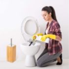 Alternate image 1 for ToiletTree Products Toilet Brush with Stainless Steel Handle Bamboo Wooden Holder