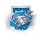 Alternate image 3 for Kurt Adler (HA0210) Hollywood Dolphin Nutcracker, 12-Inch