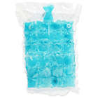 Alternate image 3 for Bright Creations Disposable Ice Cube Storage Bag (7.6 x 12 Inches, 100 Pack)