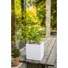 Alternate image 1 for Lechuza USA 5.5" White All In One Stone Finish Planter