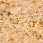 Alternate image 1 for PetsPick Kiln Dried Soft Pine Bedding For Small Pets, 41L
