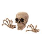 Alternate image 0 for Dragon Crest Skeleton Wall Decor Set