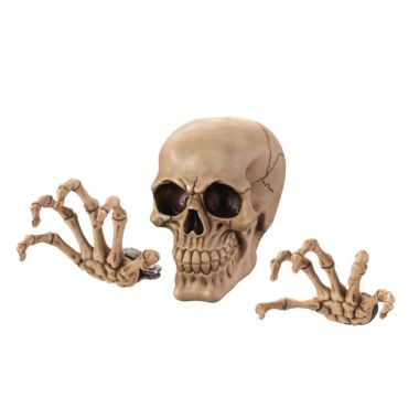 Dragon Crest Skeleton Wall Decor Set. View a larger version of this product image.