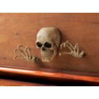 Alternate image 1 for Dragon Crest Skeleton Wall Decor Set