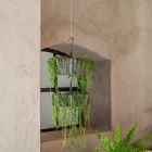 Alternate image 1 for Tree Nest Sunny Hanging 2-Tiered Lace Pattern Planter Round, Anthracite - 10&reg;