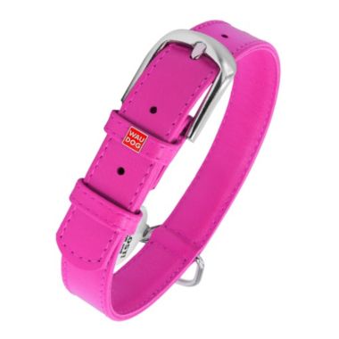 WAUDOG Glamour Leather Dog Collar. View a larger version of this product image.
