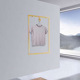 Stock Preferred Wall Mounted Clothing Rack with 12cm Hanging Hook in Iron Gold
