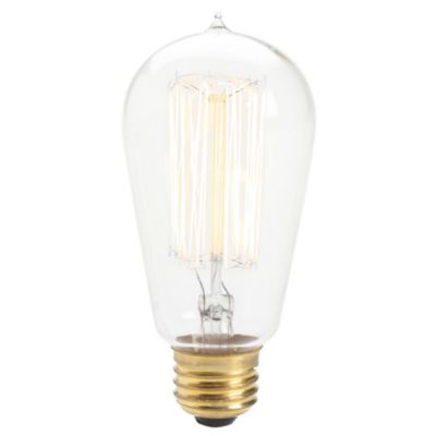 Signature Home Collection Set of 3 Clear Incandescent Squirrel Cage Edison Light Bulbs 5"