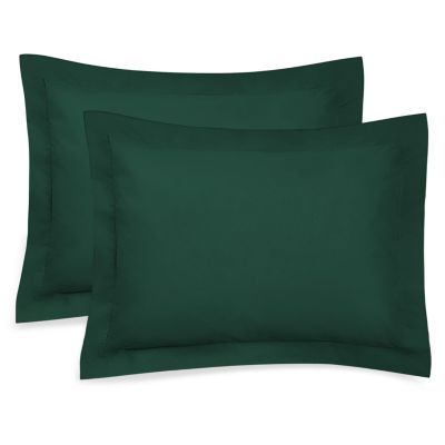 Legacy A Ryan Company Standard Pillow Sham Blue Green Toile Check EUC