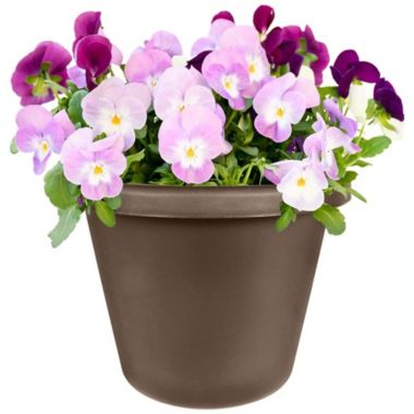 The HC Companies (#LIA12000E2) Classic Pot Chocolate - 12". View a larger version of this product image.