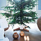 Alternate image 2 for Tree Nest  (#219666) Black Timber Christmas Tree Stand