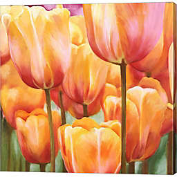 Metaverse Art Spring Tulips II by Luca Villa 24-Inch x 24-Inch Canvas Wall Art