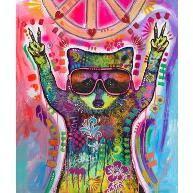 Dawhud Direct Colorful Racoon Fleece Blanket for Bed, 50" x 60" Dean Russo Raccoon Fleece Throw Blanket for Women, Men and Kids - Super Soft Plush Racoon Blanket Throw. View a larger version of this product image.