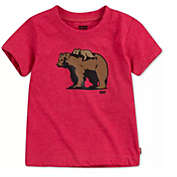 Levi&#39;s Daddy & Me Collection Baby Boys Papa Bear & Baby Bear Graphic T Shirt Red Size 12