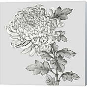 Metaverse Art Grey Botanical I by Eva Watts 12-Inch x 12-Inch Canvas Wall Art