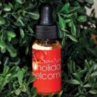 Alternate image 0 for Northline Holiday Welcome StoveScent - Apple Pie