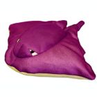 Alternate image 0 for The Pool Supply Shop 30" Cruz Seaside Rider Stuffed Floating Stingray Swimming Pool Pillow