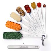 2lbDepot Measuring Spoons Set of 7 Includes Bonus Leveler, Premium, Rust Proof, Heavy