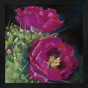 Great Art Now Blooming Succulent III by Carol Rowan 13-Inch x 13-Inch Framed Wall Art