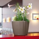Alternate image 2 for Lechuza USA 14" White Quadro Planter with Water Reservoir