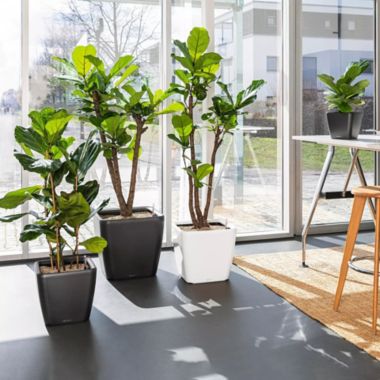 Lechuza USA 14" White Quadro Planter with Water Reservoir. View a larger version of this product image.