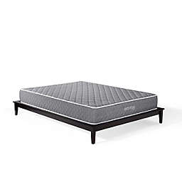 Modway Mila 10 King Mattress with Quilted Polyester Cover