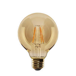 Xtricity - Old Fashioned LED Bulb, 5W, E26 Base, 2200K Soft White