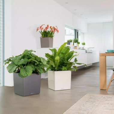 Lechuza USA 12" Silver Cube Planter with Water Reservoir. View a larger version of this product image.