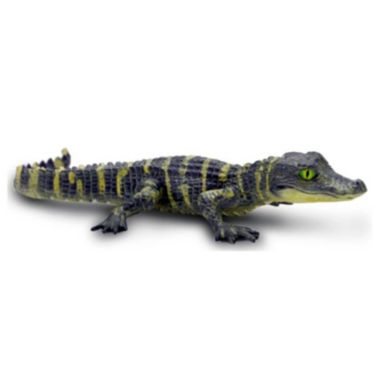 Alligator Baby Animal Figure Safari Ltd 101073. View a larger version of this product image.