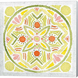 Metaverse Art Citrus Tile III v2 by Elyse DeNeige 24-Inch x 24-Inch Canvas Wall Art