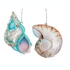 Alternate image 1 for Gallerie II Coral Reef Shell Ornament Set of 3